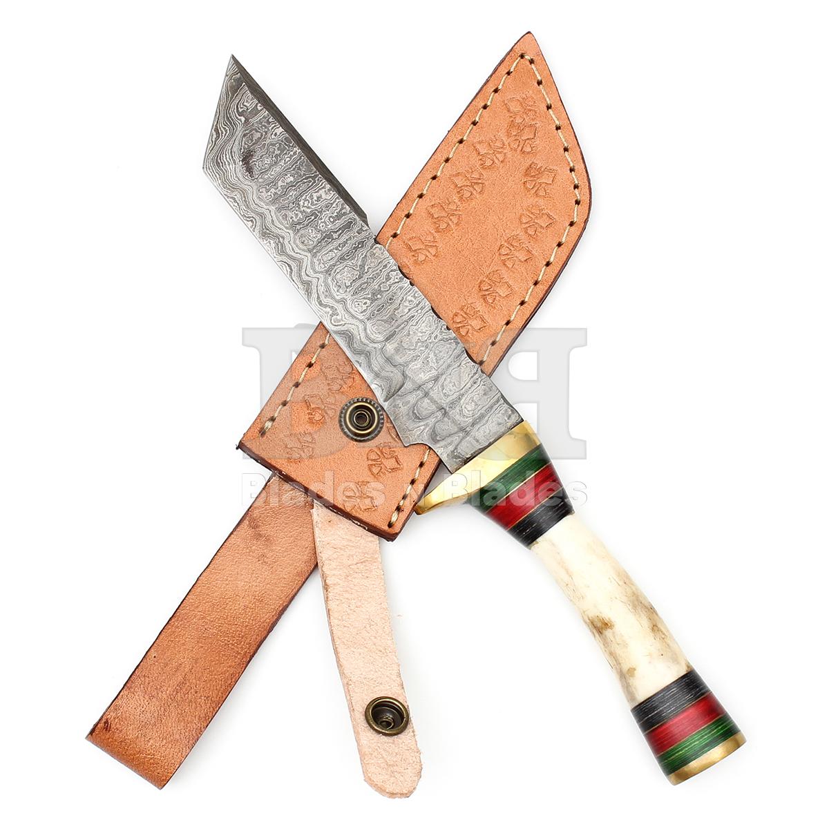 Ladder Pattern Blade
with Brass Guard
hidden tang Stag and
Color Wood Handle
